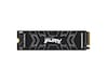 Kingston FURY Renegade PCIe M.2 NVME SSD 500GB SSD M.2