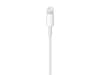 Apple Lightning til USB-A Kabel 0,5m (hvit) Ladere