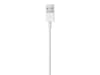 Apple Lightning til USB-A Kabel 0,5m (hvit) Ladere