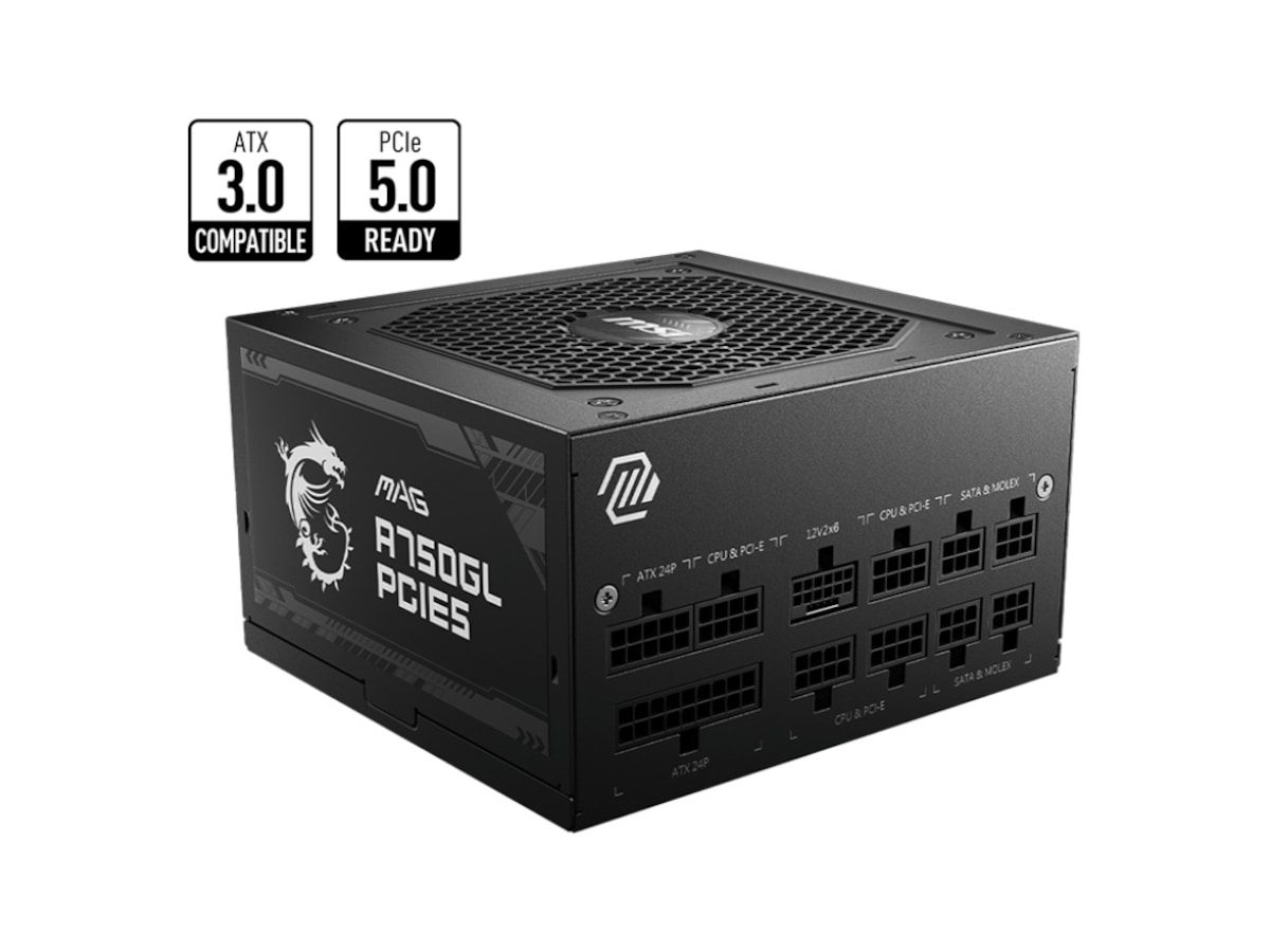 MSI MAG A750GL PCIE5 750W PSU Enheter