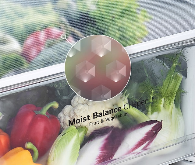 Moist balance crisper skuff Moist balance crisper skuff