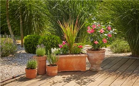 Gardena Micro-drip vannbesparende vanning av blomsterpotter Medium Gardena Micro-drip vannbesparende vanning av blomsterpotter Medium