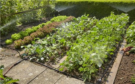 Gardena Micro drip Startsett for kjøkkenhager Gardena Micro drip Startsett for kjøkkenhager