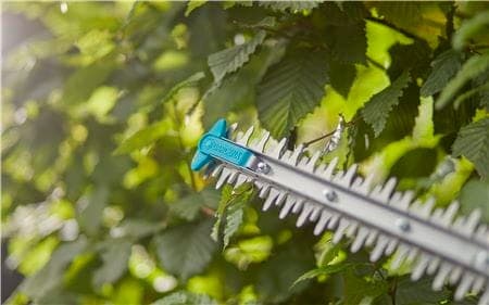 Bladtupp-beskyttelse Bladtupp-beskyttelse