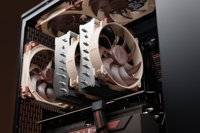 Noctua