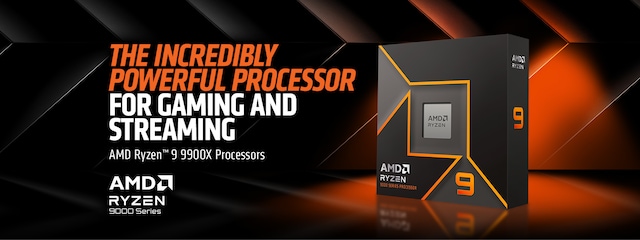 AMD Ryzen 9 9900X AMD Ryzen 9 9900X