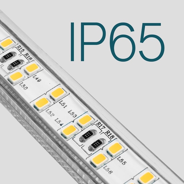 IP65