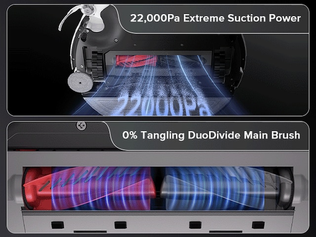 no tangling no tangling